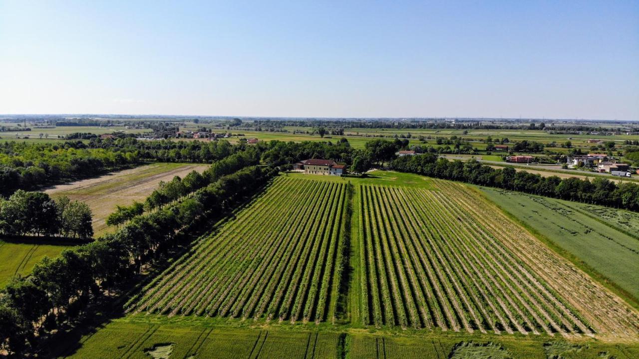 Agriturismo Ae Cavane Codevigo Esterno foto
