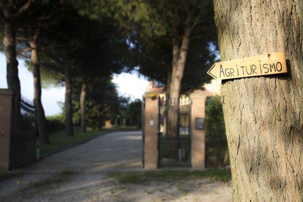 Agriturismo Ae Cavane Codevigo Esterno foto